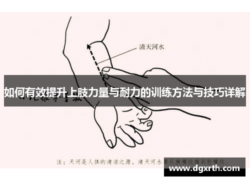 如何有效提升上肢力量与耐力的训练方法与技巧详解