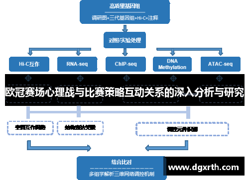 欧冠赛场心理战与比赛策略互动关系的深入分析与研究