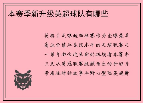 本赛季新升级英超球队有哪些
