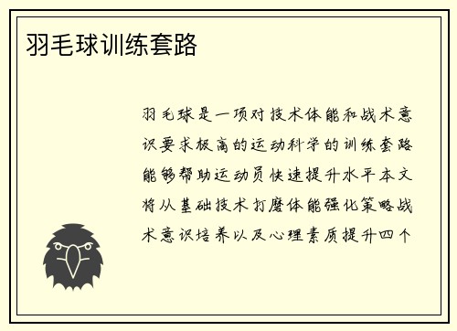 羽毛球训练套路